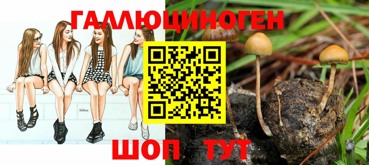 Галлюциногенные грибы Psilocybine cubensis  где можно купить наркотик  Северск  Вход с VPN 